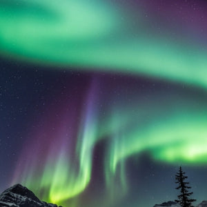 Flavour Art - Aurora