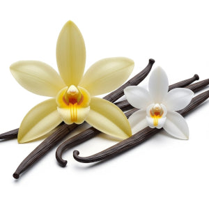 Flavour Art - Vanilla Classic