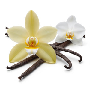 TFA - Plain Vanilla (Vanillin)