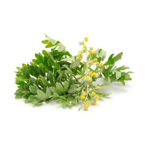 Flavouring - TFA - Absinthe