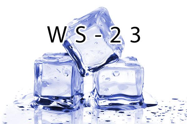 Flavouring - WS-23