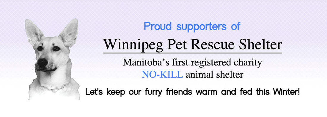 Support Pet Rescue We Support Winnipeg Pet Rescue Shelter. – My Flavours