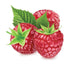 Raspberry V1 Capella canada