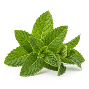 Flavor West - Natural Spearmint