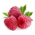 Flavouring - Capella - Raspberry V1