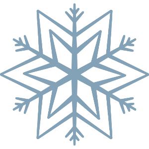 Flavouring - Flavour Art - Polar Blast