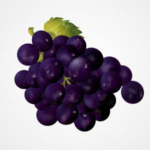 Flavouring - LorAnn - Grape