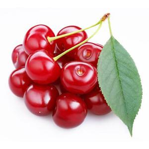 Flavouring - TFA - Cherry Extract