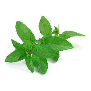 Flavouring - TFA - Peppermint