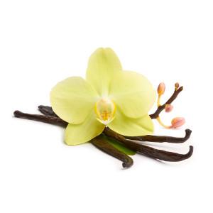 Flavouring - TFA - Plain Vanilla (Vanillin)