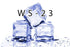 Flavouring - WS-23